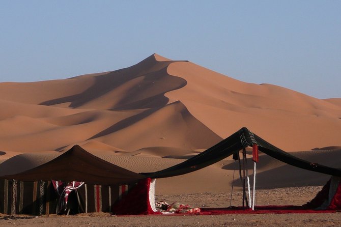 Premium Full-Day Safari, Dune Bash, Camel Ride and BBQ Meal in Desert Camp - From Doha to Sealine Beach