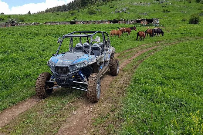 Private 1-Hour Quad or Buggy Safari in Borovets - Age rules and physical demands