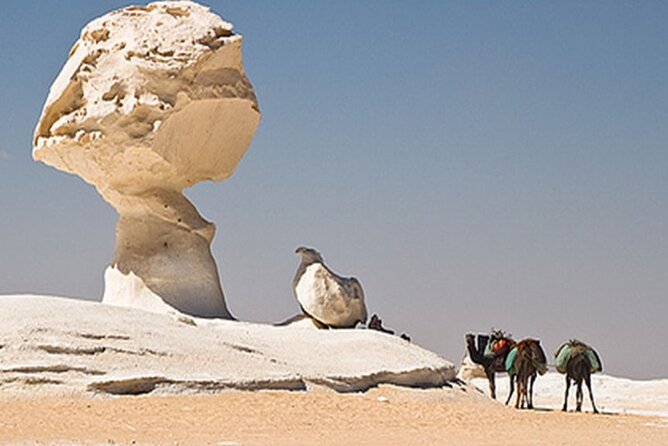 Private 2 Days Jeep Safari to White Desert and Bahariya Oasis - Why this two-day desert trip is worth your time