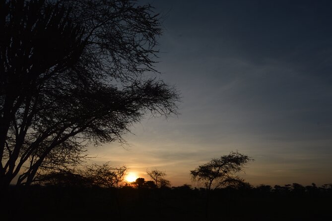 Private 7-Day Tanzania Camping Safari - Day 3: returning to the open Serengeti