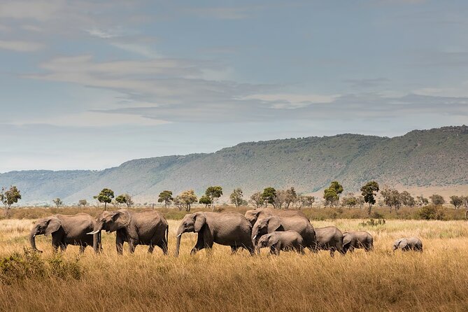 Private 7 Days Classic Safari Tour in Tanzania - A well-packed route from Arusha to the Serengeti