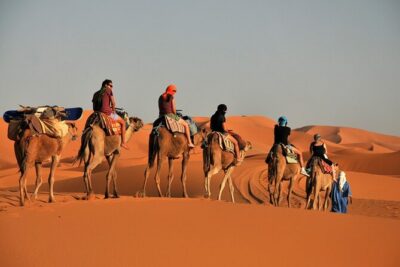 Private Adventure Red Dune Desert Safari With BBQ Dinner & Shows