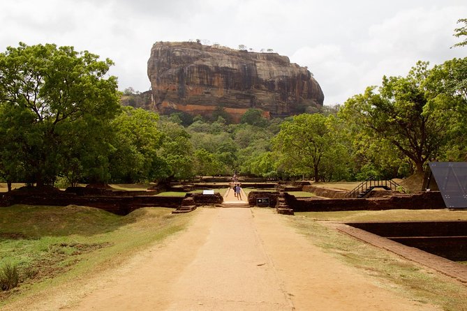 Private Day Trip to Sigiriya, cave and National park Safari Tour - Minneriya Safari is the day’s biggest wildcard