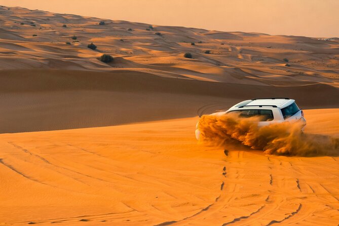 Private Evening Desert Safari with BBQ Dinner & Sand Boarding - Camel riding, Arabic coffee, and camp customs