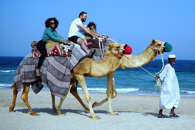 Private Full Day Desert Safari - Camel riding, sandboarding, and swimming