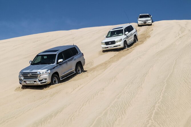 Private Full Day Desert Safari - Price, group size, and practical value