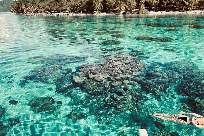 Private Full Day Lagoon Safari and Lunch on a Motu in Bora Bora - The guides are a major part of the experience
