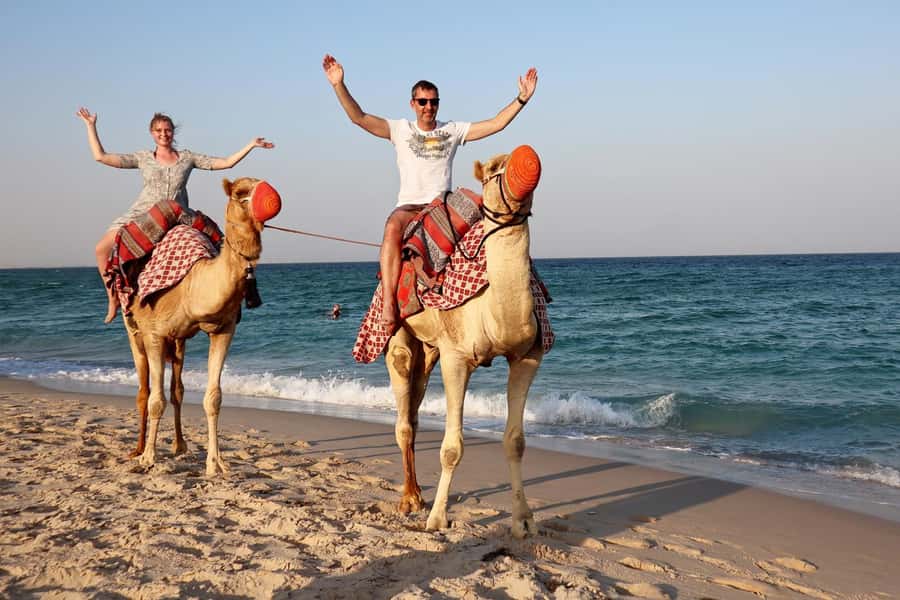 Private Half-Day Desert Safari Tour+Camel Ride - What the $203 price really buys