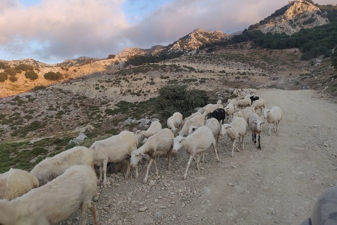 PRIVATE Jeep Safari 4x4 SUNSET (with Dinner) in Mountains CRETE - Pickup Details Around Hersonissos and Stalis