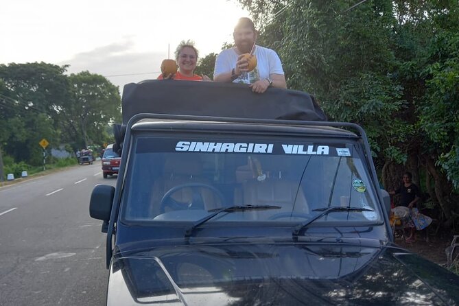 Private Jeep Safari at Minneriya National Park to Visit Elephants - Morning or afternoon: the choice changes the experience