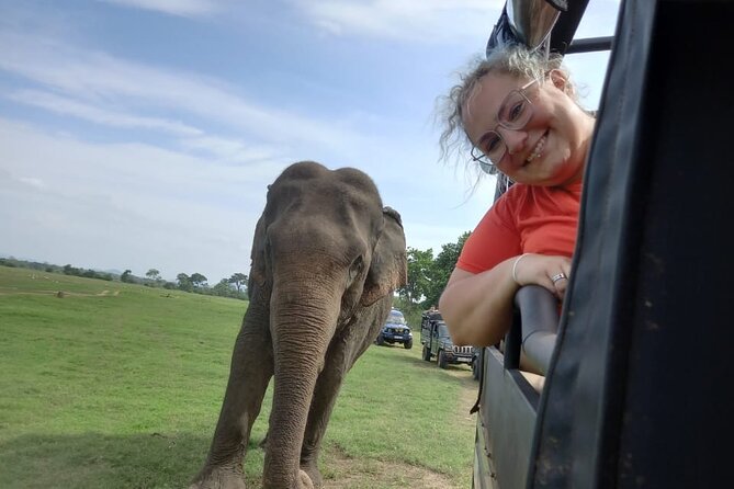 Private Jeep Safari at Minneriya National Park to Visit Elephants - The guides make or break the safari