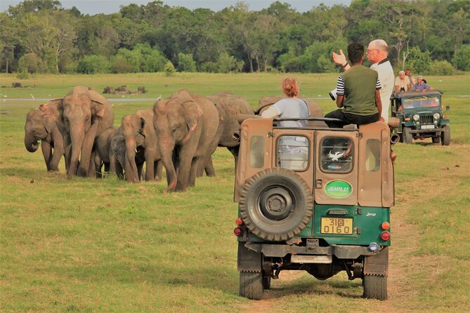 Private Jeep Safari at Minneriya National Park to Visit Elephants - What the three to four hours actually feel like