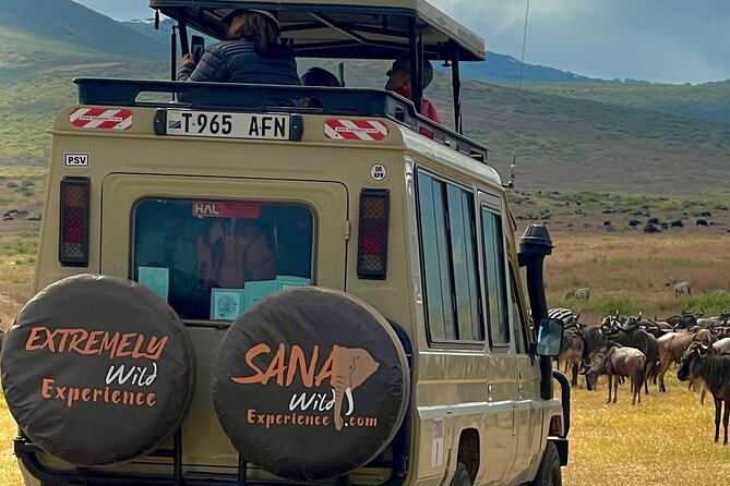 Private Multi Day Tour Tanzania Safari - Day 3: Ngorongoro Crater before the Serengeti