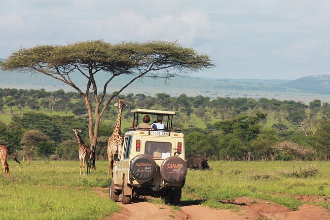 Private Multi Day Tour Tanzania Safari - Day 4: A full day across the Serengeti plains