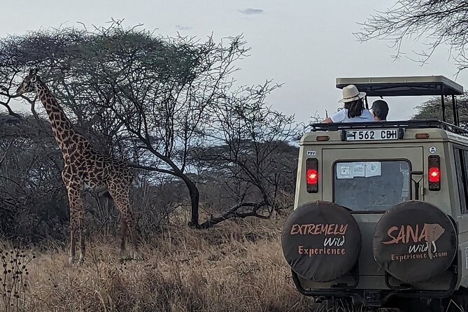 Private Multi Day Tour Tanzania Safari - Day 6: Mto wa Mbu and the road back to Arusha