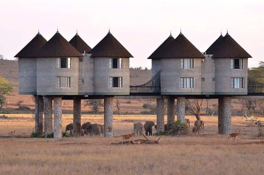 PRIVATE OVERNIGHT SALTLICK SAFARI FROM MOMBASA OR DIANI - Day one: entering Taita Hills Wildlife Sanctuary