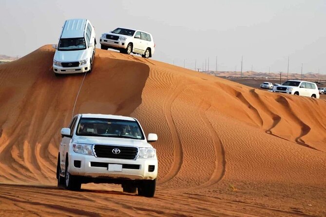 Private Premium Desert Safari 4x4 Vehicle with BBQ Dinner - DUBAI - What dune bashing feels like in a private 4x4