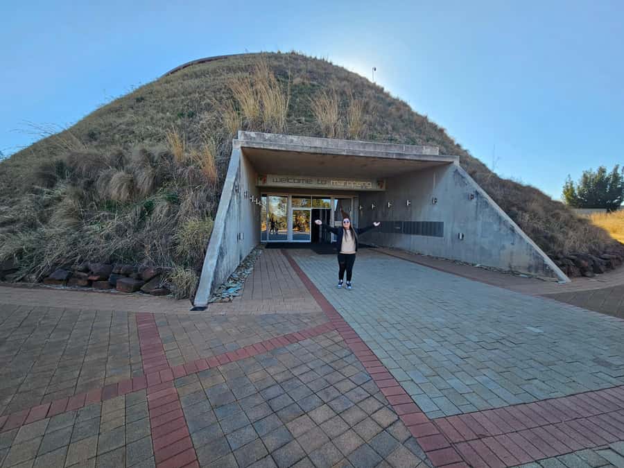 Private Rhino and Lion Park, Cradle Caves or Maropeng Museum - Three hours among rhinos, lions, and wild dogs