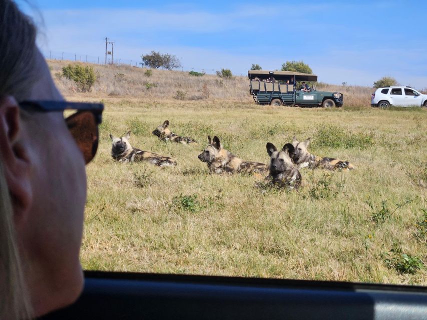 Private Rhino and Lion Park, Cradle Caves or Maropeng Museum - Who should book this experience