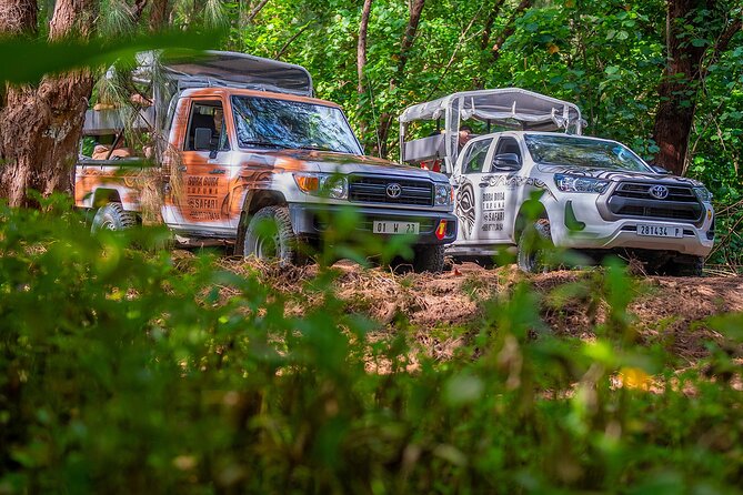 Private Safari Adventure Tour in Bora Bora with Local Guide - Who should book this private safari