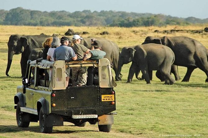 Private Trip to Sigiriya, Dambulla & safari from Colombo/ Negombo - The private car and the long road