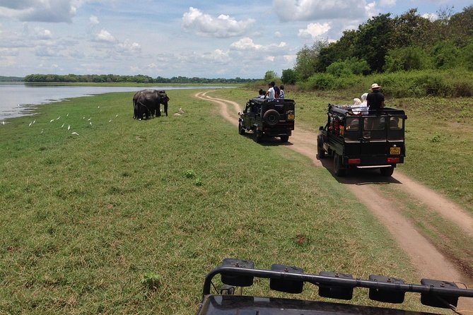 Private Trip to Sigiriya, Dambulla & safari from Colombo/ Negombo - Shopping stops and keeping control of your day