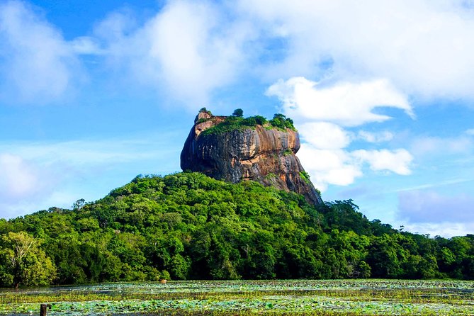 Private Trip to Sigiriya, Dambulla & safari from Colombo/ Negombo - What the $67 price really buys you