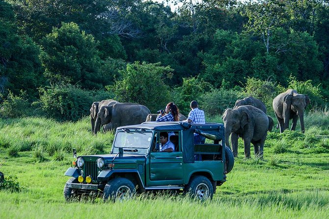 Private Trip to Sigiriya, Dambulla & safari from Colombo/ Negombo - Who should book this experience?