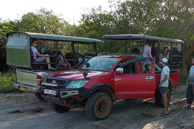 Private Wilpatu National Park Leopard safari from Colombo/Negambo - The early start from Colombo or Negombo