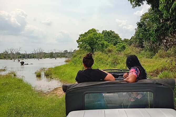 Private Wilpatu National Park Leopard safari from Colombo/Negambo - What a leopard sighting really involves