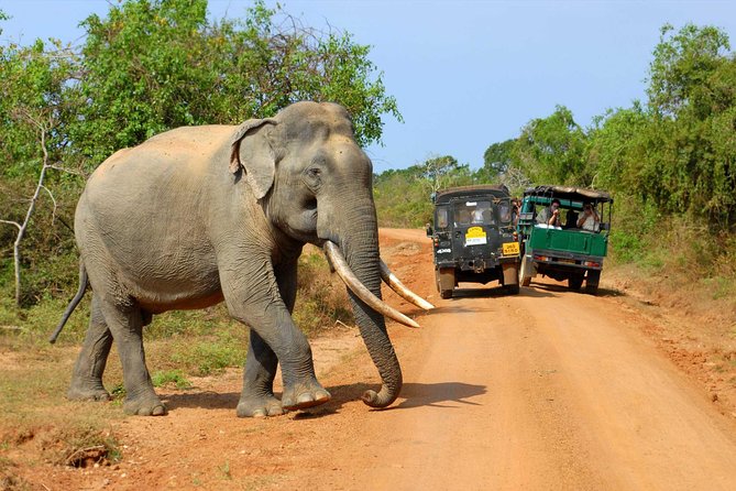 Privet One Day Udawalawe National Park Elephant Safari - The long private drive from Colombo