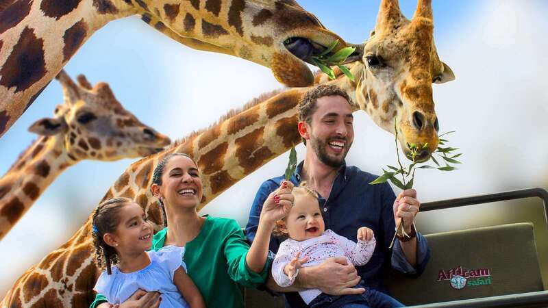 Puebla Africam Safari Park, Live an Unforgettable Adventure! - Key points to know before you go