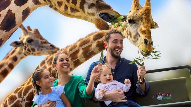 Puebla Africam Safari Park, Live an Unforgettable Adventure! - Who will enjoy Africam Safari most?