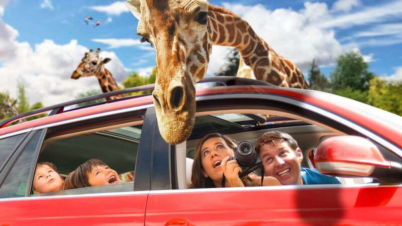 Puebla Africam Safari Park, Live an Unforgettable Adventure! - Why the conservation message matters