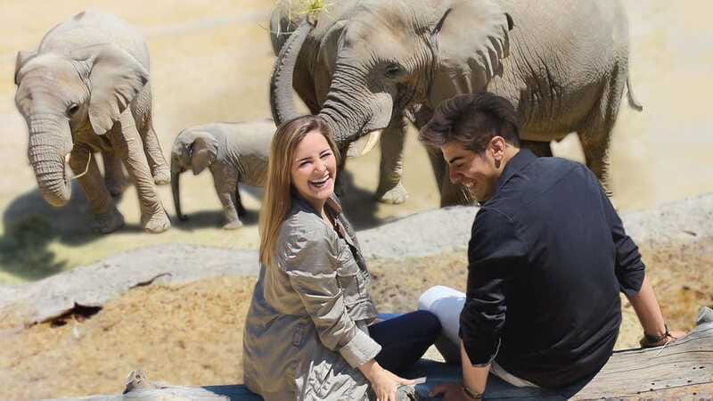 Puebla Africam Safari Park, Live an Unforgettable Adventure! - Is $43 a fair price?