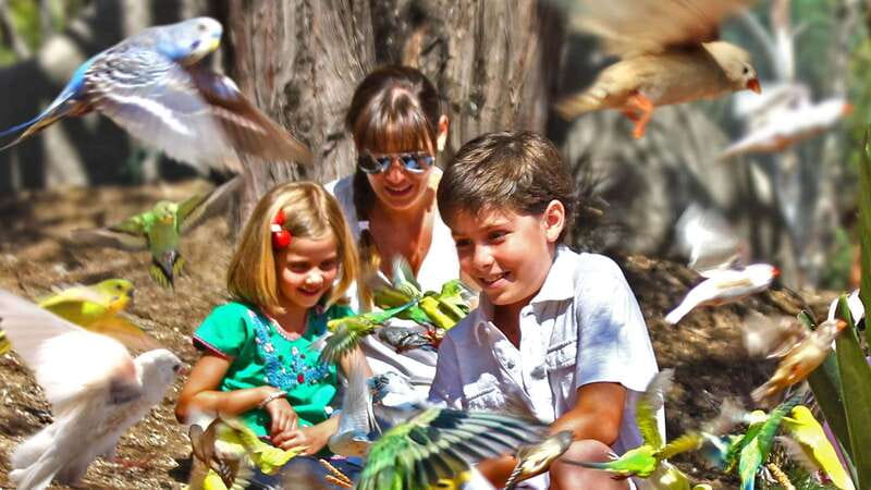 Puebla Africam Safari Park, Live an Unforgettable Adventure! - Timing, comfort, and what to pack