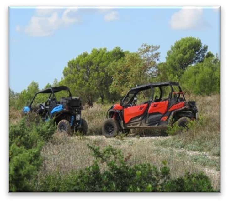 PULA AND ROVINJ: BUGGY FAMILY SAFARI 1, 2, 2.5 & 4 H - The one-hour route: a quick forest escape