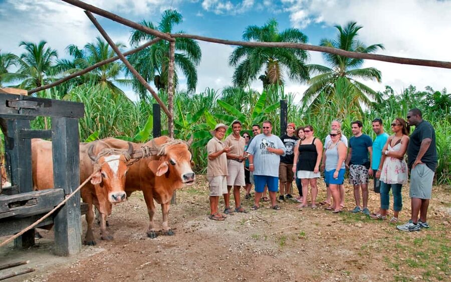 Punta Cana: Bavaro Runners Safari Tour - Horseback riding through the countryside