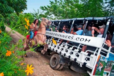 Bavaro Runners Safari Tour