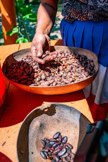Punta Cana: Bavaro Runners Safari Tour - Hand-rolled cigars and local tobacco