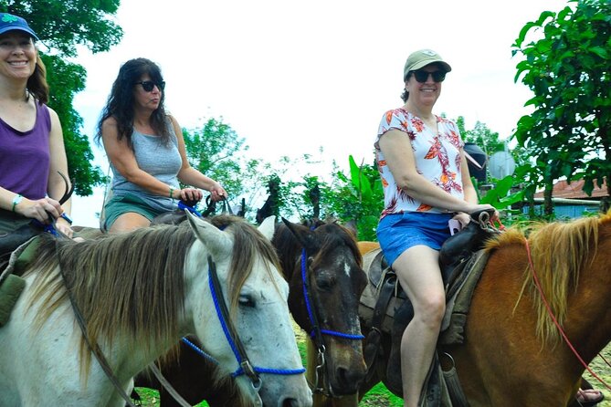 Punta Cana Half-Day Cultural Safari with Lunch and Drinks - Lunch in the Higüey Mountains