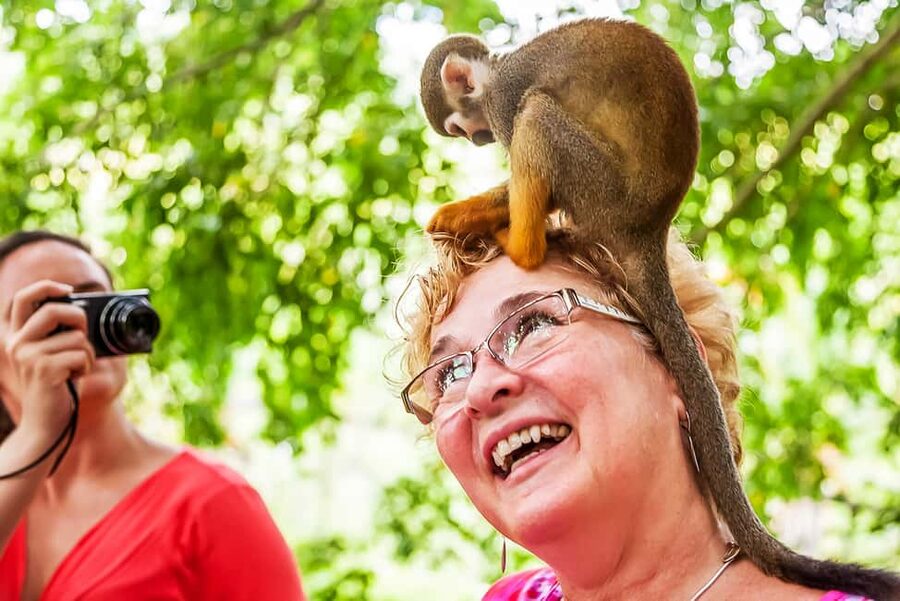 Punta Cana: Monkey Land Half-Day Safari and Plantation - Key points to know before you book