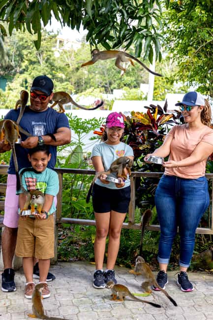 Punta Cana: Monkey Land Half-Day Safari and Plantation - Who will enjoy this outing most