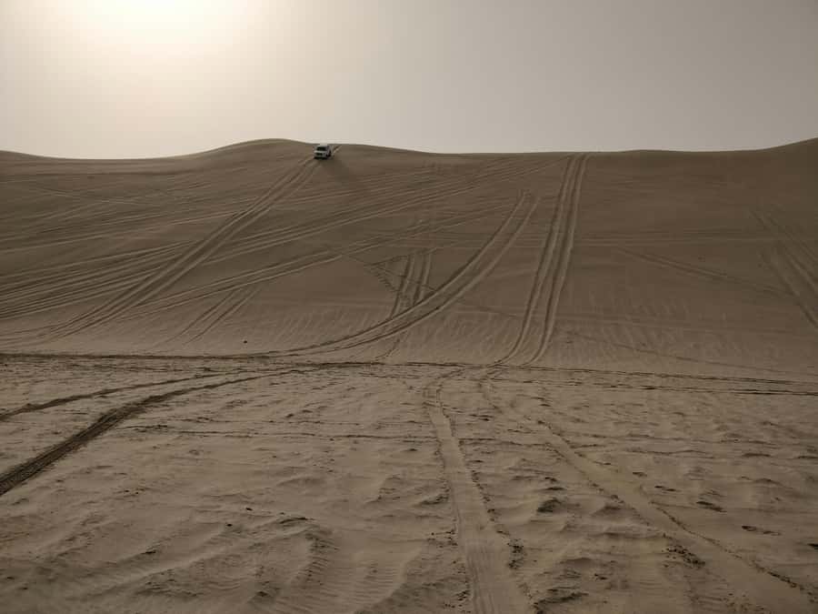 Qatar: Desert Safari, Camel Ride, Inland sea, Sandboarding - Should you add the quad bike?