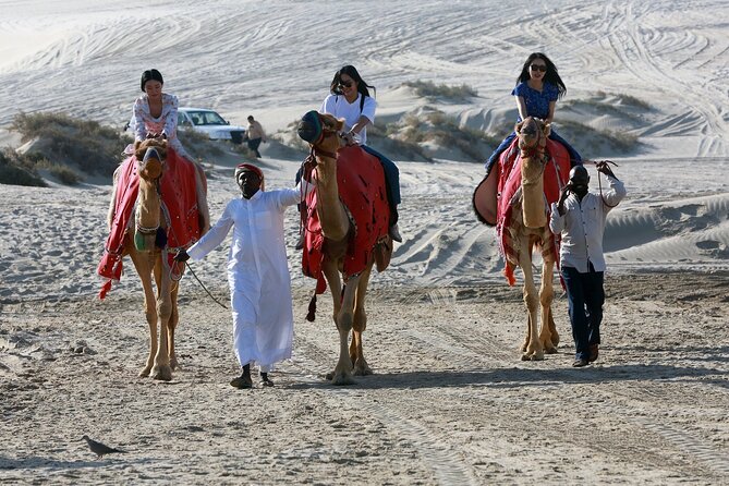 Qatar Half Day Desert Safari(Camel Rides & Sandboarding) - What the guide adds to the ride