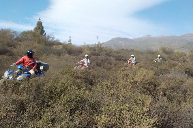 Quad Bike Safari - Who will enjoy this quad safari most