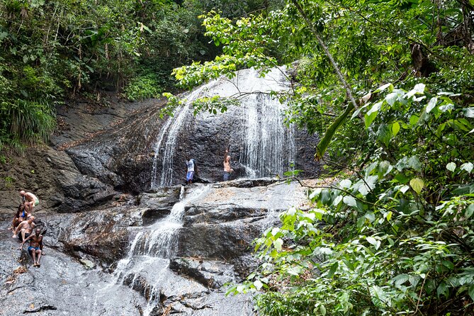Rainforest Hike and Waterfall Safari - Key points to know before you go