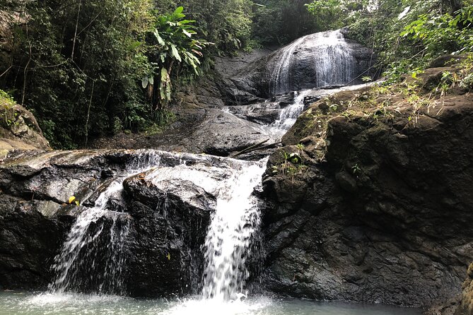 Rainforest Hike and Waterfall Safari - Why this 4.5-hour outing is worth considering