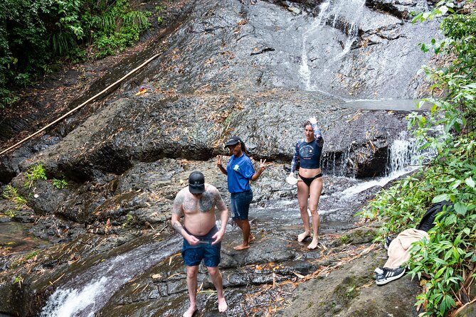 Rainforest Hike and Waterfall Safari - How demanding is the walk?
