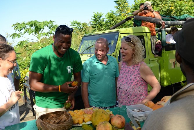 Rainforest Hike & Waterfall Safari St. Lucia From Castries - Leaving Castries in an open-top safari jeep